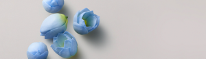 PRODUCT DETAIL INGREDIENTS - IPAD LANDSCAPE - 1024 X 292-Blue Lotus Flower